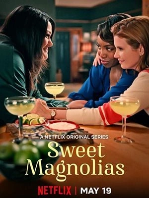 A l'ombre des magnolias - Sweet Magnolias Saison 4 VOSTFR HDTV 2025