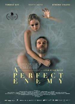 A Perfect Enemy FRENCH WEBRIP 2022