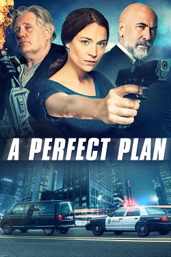 A Perfect Plan FRENCH WEBRIP 720p 2022