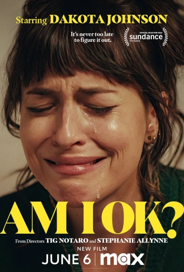 Am I Ok ? FRENCH WEBRIP 2024