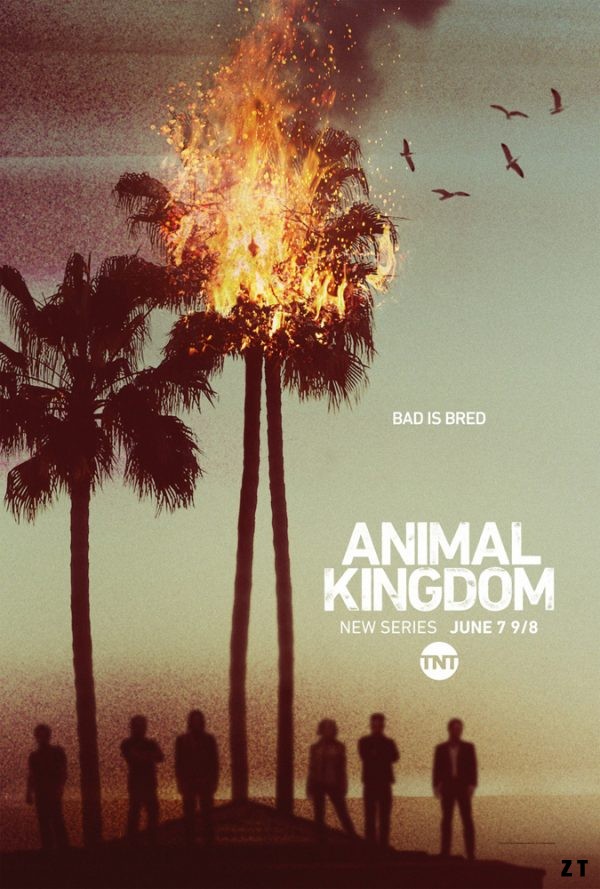 Animal Kingdom S01E05 FRENCH HDTV