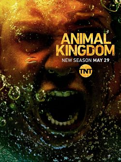 Animal Kingdom S03E03 VOSTFR HDTV