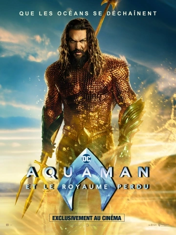 Aquaman et le Royaume perdu - Aquaman and the Lost Kingdom TRUEFRENCH DVDRIP 2023