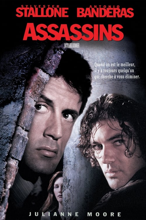 Assassins MULTI TRUEFRENCH HDLight 1080p 1995