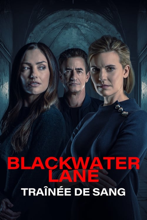 Blackwater Lane TRUEFRENCH DVDRIP 2024