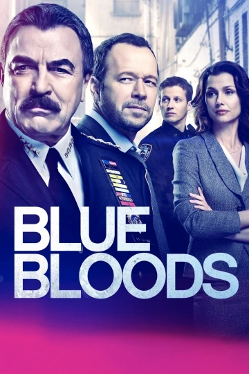 Blue Bloods S14E13 FRENCH HDTV 2024