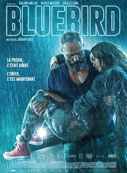 Bluebird FRENCH BluRay 1080p 2020