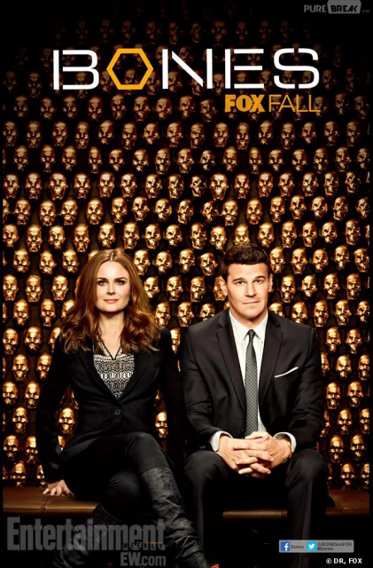 Bones S08E14 FRENCH HDTV