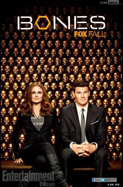 Bones S10E06 VOSTFR HDTV