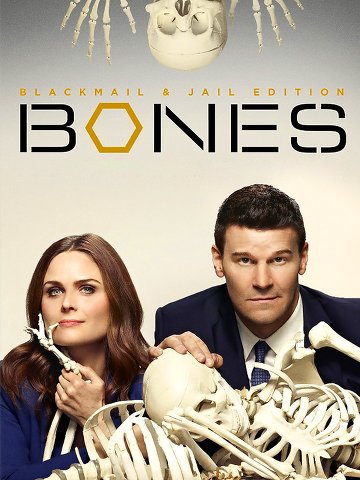 Bones S11E14 VOSTFR HDTV