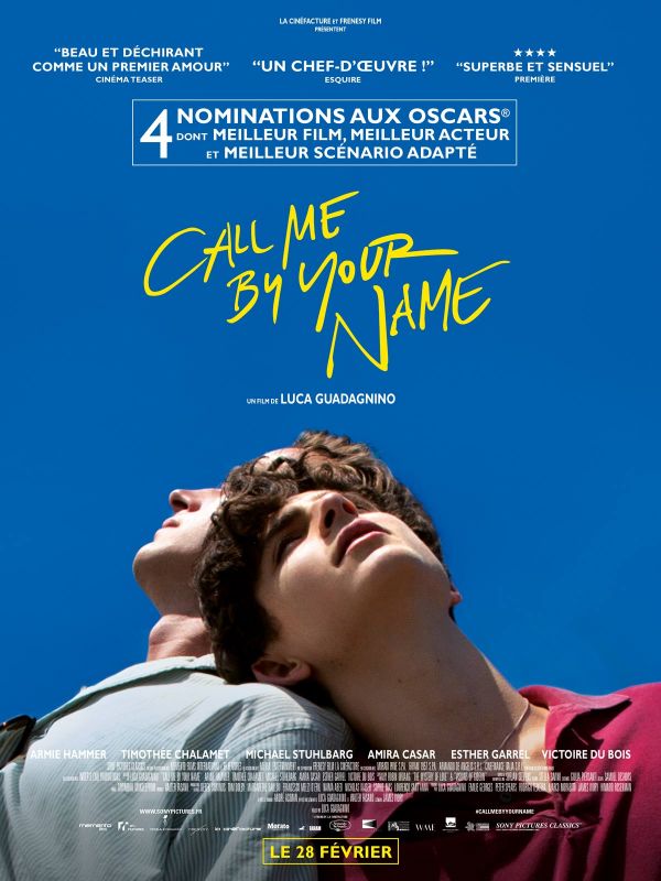 Call Me By Your Name FRENCH DVDRIP 2017