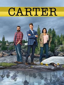 Carter S02E03 FRENCH HDTV