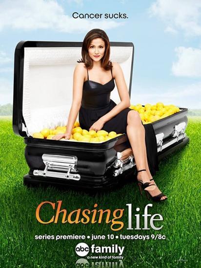 Chasing Life MULTI Integrale HDTV 1080p 2014