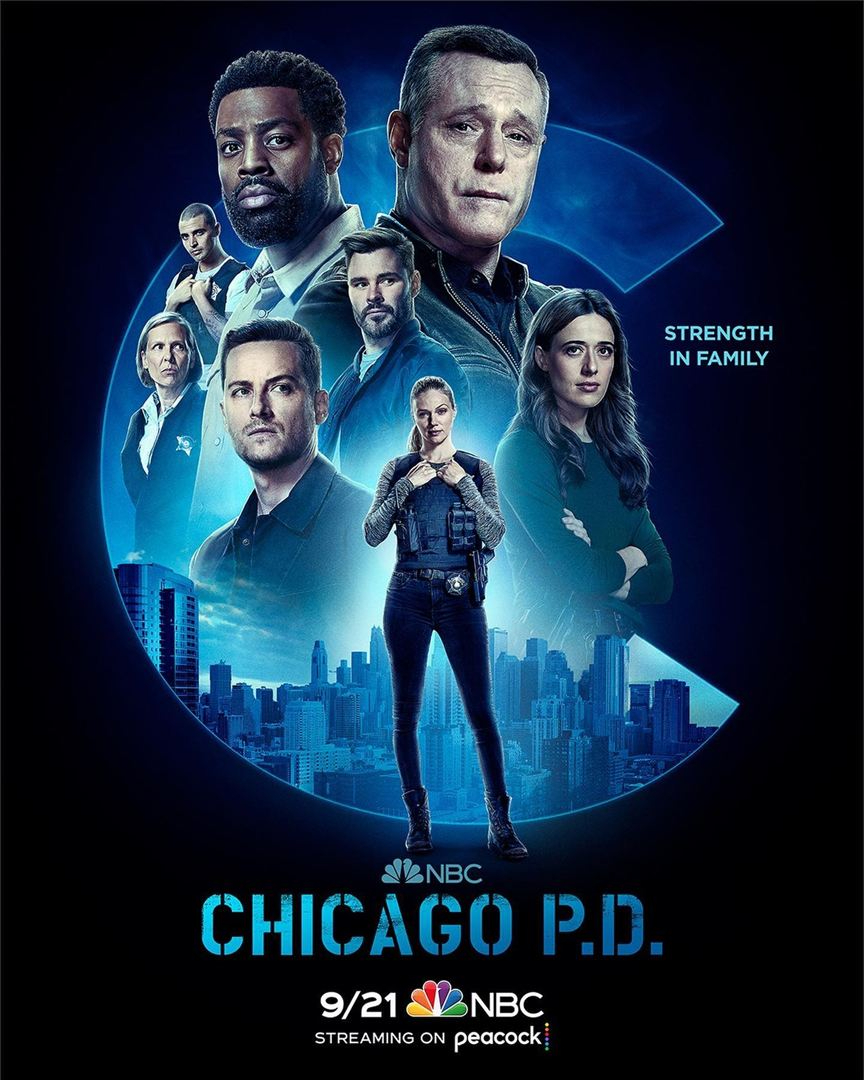 Chicago Police Department S10E03 VOSTFR HDTV