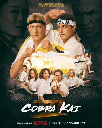 Cobra Kai S06E06 VOSTFR HDTV 2024