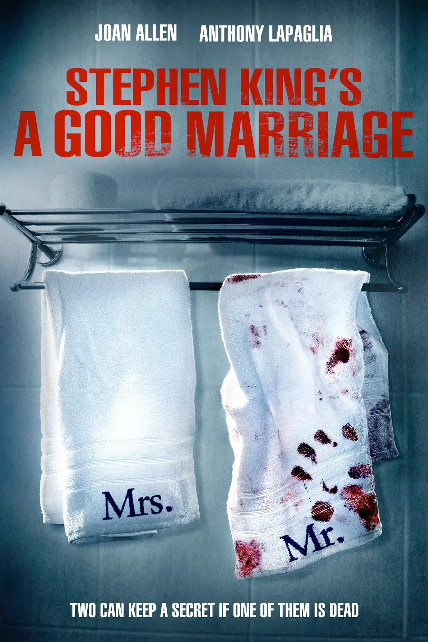 Couple modèle (A Good Marriage) TRUEFRENCH WEBRIP 720p 2014
