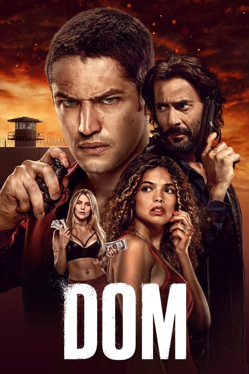 DOM FRENCH HDTV 2160p 2021 FRENCH Integrale HDTV 2160p 2021