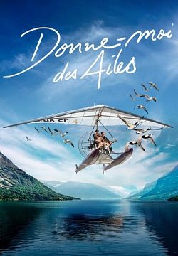 Donne-moi des ailes FRENCH DVDRIP 2020