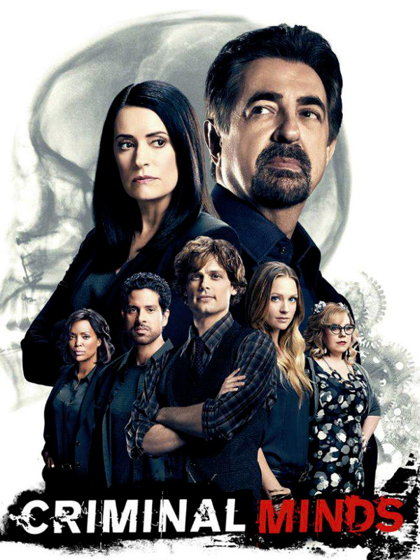 Esprits criminels (Criminal Minds) S13E15 VOSTFR