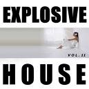 Explosive House 2010