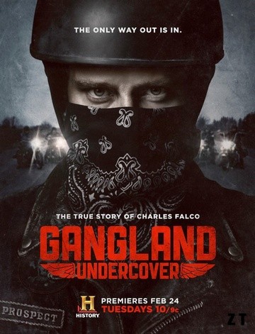 Gangland Undercover Saison 1 FRENCH HDTV