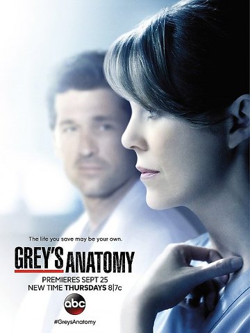 Grey's Anatomy S11E08 FRENCH HDTV