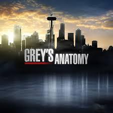 Grey's Anatomy S11E18 VOSTFR HDTV