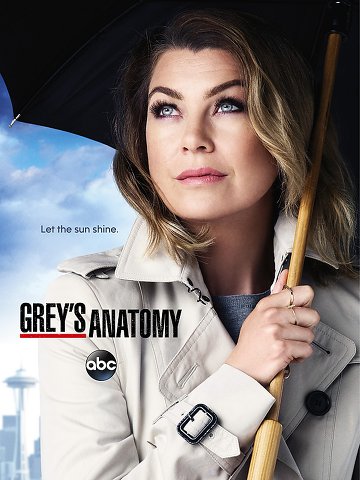Grey's Anatomy S12E22 VOSTFR HDTV