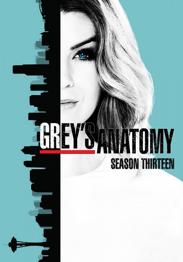 Grey's Anatomy S13E01 FRENCH HDTV