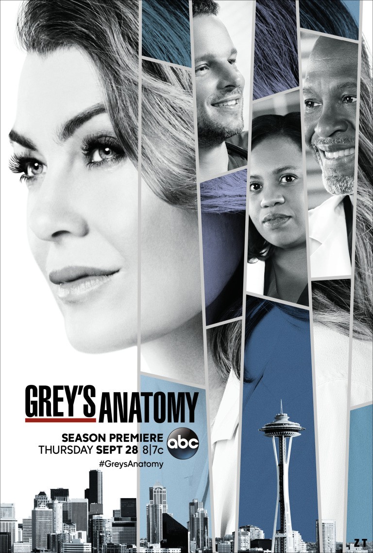 Grey's Anatomy S14E08 FRENCH HDTV