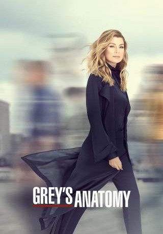 Grey's Anatomy S16E13 FRENCH HDTV