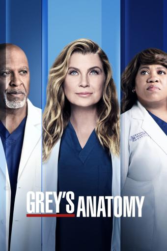 Grey's Anatomy S18E01 FRENCH HDTV