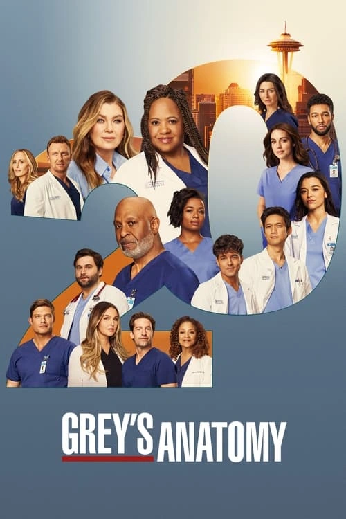 Grey's Anatomy S20E05 MULTI HDTV 1080p 2024