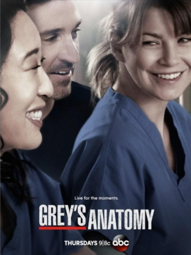 Grey's Anatomy Saison 10 MULTI HDTV 1080p x265 2013