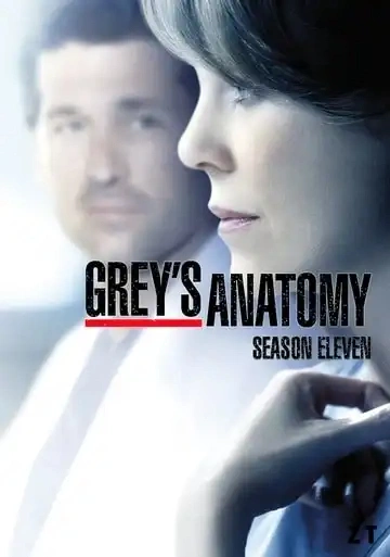 Grey's Anatomy Saison 11 MULTI HDTV 1080p x265 2014