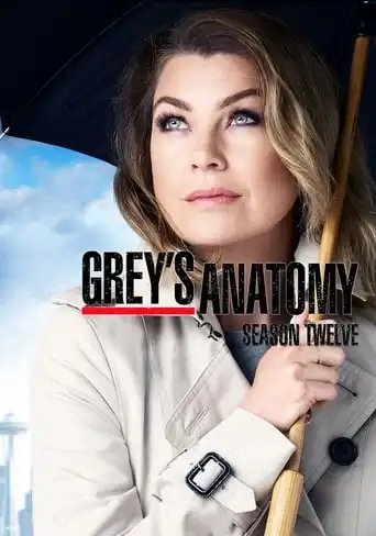 Grey's Anatomy Saison 12 FRENCH HDTV 2015