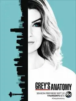 Grey's Anatomy Saison 13 FRENCH HDTV 2017
