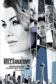 Grey's Anatomy Saison 14 MULTI HDTV 1080p x265 2017
