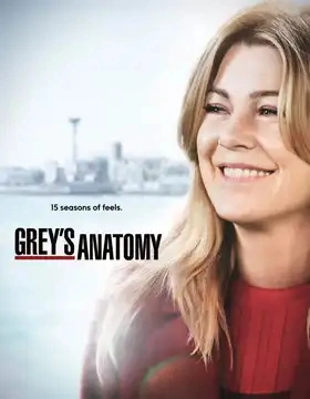 Grey's Anatomy Saison 15 MULTI HDTV 1080p x265 2018