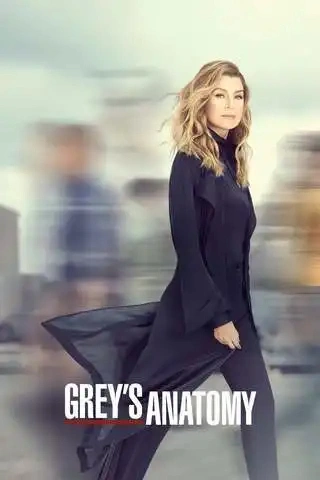 Grey's Anatomy Saison 16 FRENCH HDTV 2019