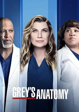 Grey's Anatomy Saison 18 MULTI HDTV 1080p x265 2021