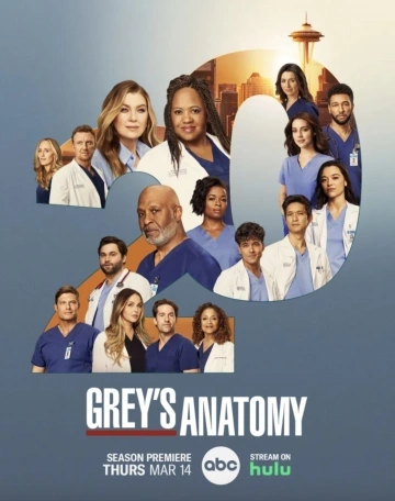 Grey's Anatomy Saison 20 FRENCH HDTV 2024