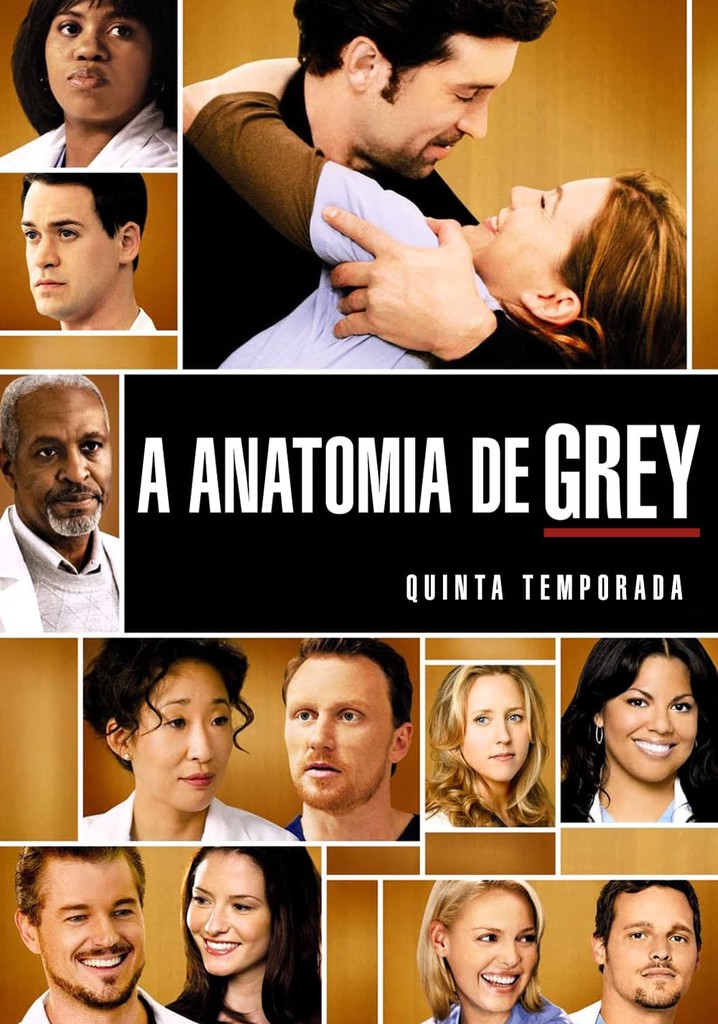 Grey's Anatomy Saison 5 FRENCH HDTV 2008