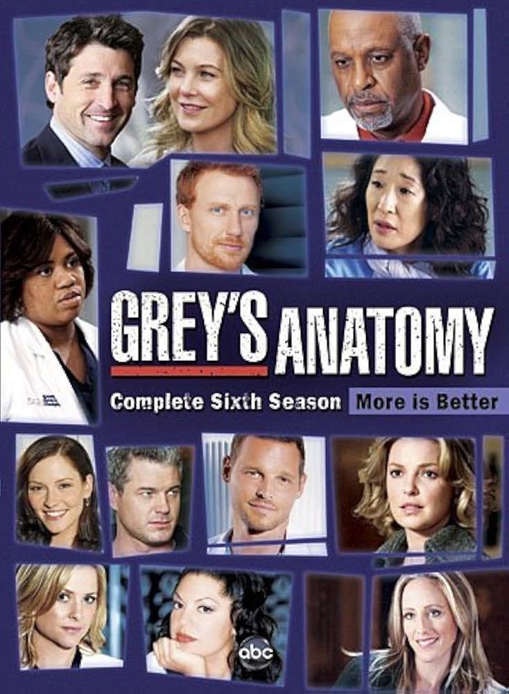 Grey's Anatomy Saison 6 FRENCH HDTV 2009