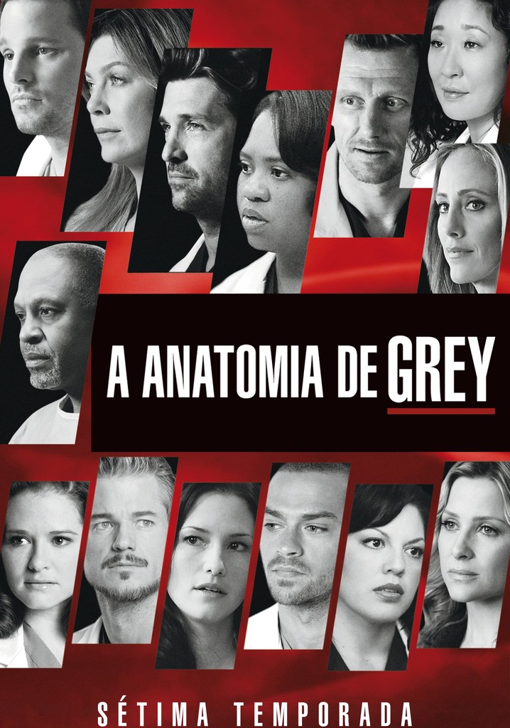 Grey's Anatomy Saison 7 MULTI HDTV 1080p x265 2010