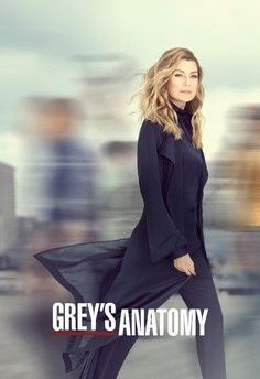 Greys Anatomy S16E04 VOSTFR HDTV