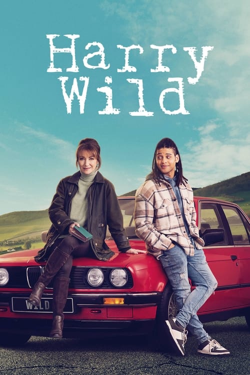 Harry Wild S03E01 FRENCH HDTV 1080p 2024