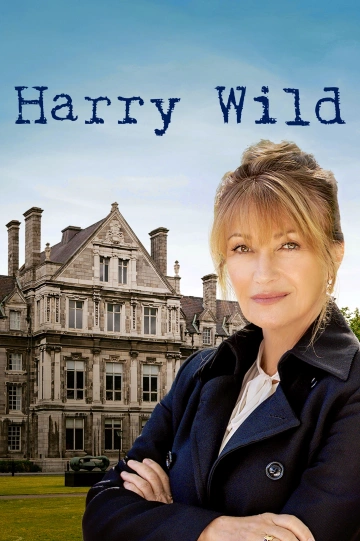 Harry Wild S03E01 FRENCH HDTV 2024