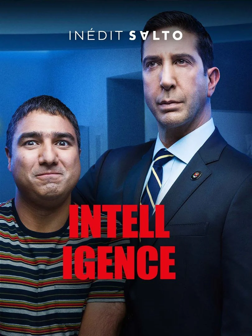 Intelligence Saison 1 FRENCH HDTV