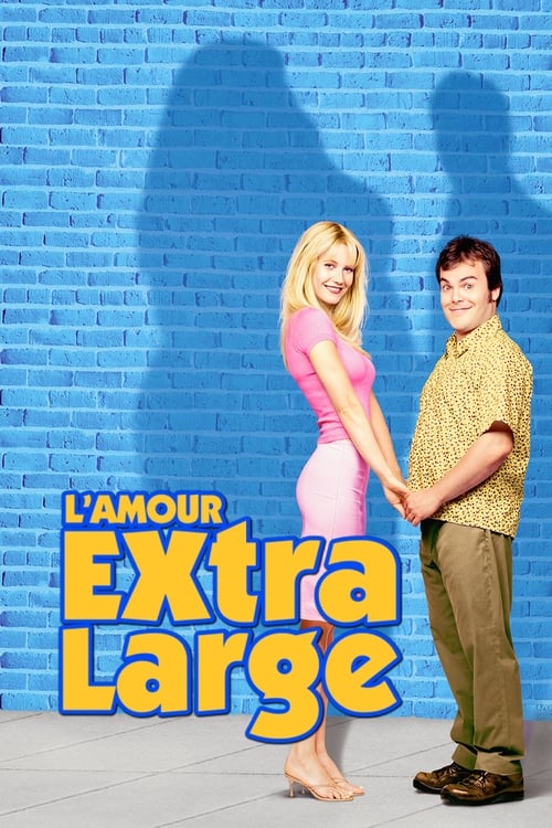 L'Amour extra-large - Shallow Hal MULTI TRUEFRENCH HDLight 1080p 2001